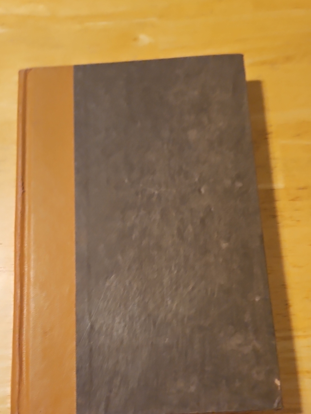 Danielle Steel Once in a Lifetime Brown Hardcover Book